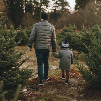 Father and son walking through Christmas Tree farm