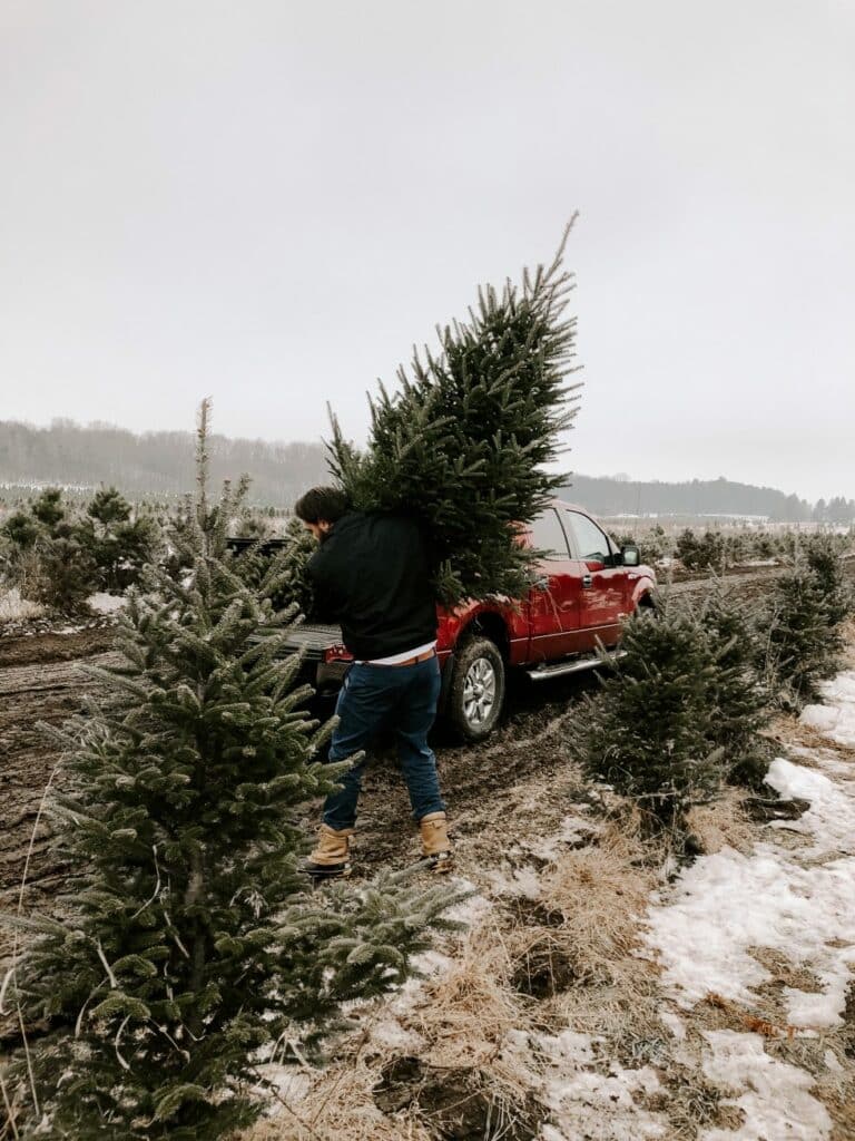 Man carrying a Christmas tree