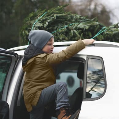 Boy helping to load a Christmas tree on top of the car