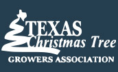 texas christmas tree growers association