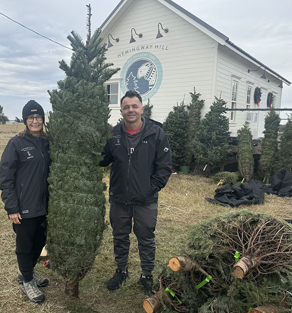 Christmas tree after netting