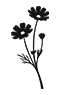 HW-flower-Icon-01