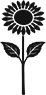 HemingwayHill_Illustration_Sunflower_B_OffBlack