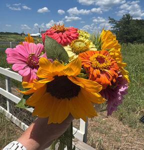 Bouquet of hand-picked flowers