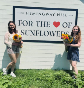 Sunflowers at Hemingway Hill